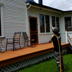 Armex Gestion Parasitaire photo 6