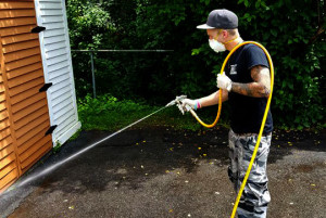 Armex Gestion Parasitaire photo 5